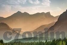 188足球比分雷速-探秘188足球比分雷速，足球迷的实时比分神器与观赛新体验