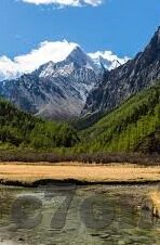9月足球比分-9月绿茵烽火，全球足坛比分盛宴与战术风云变幻